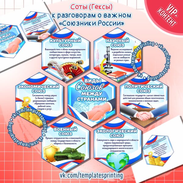 Соты (Гексы) к занятию Разговоры о важном на тему «Союзники России» на 29 января